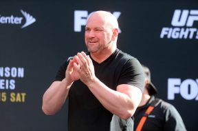 dana white – actumma