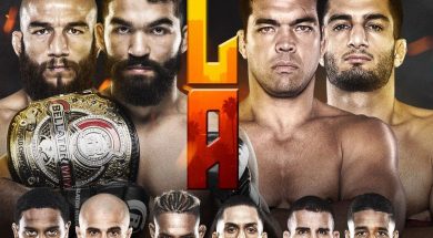 Bellator-228-affiche