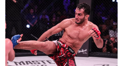 Gegard-Mousasi-middle-Kick