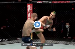 o’malley-ko-wineland-ufc-250