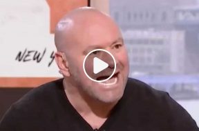 dana-white-react