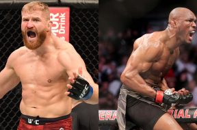 jan-blachowicz-kamaru-usman