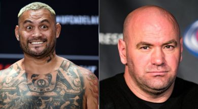 mark-hunt-dana-white