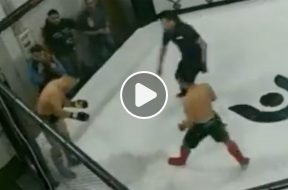 MMA-Vidéo-KO