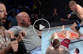 dana-white-ko