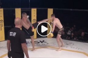 KO-mma-head-kick