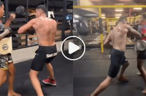 Alex-pereira-ufc-mma-vidéo