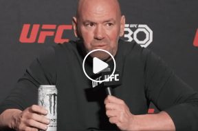 dana-white-ufc-mma-vidéo