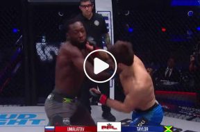 pfl-magomed-umalatov-mma-ko-vidéo