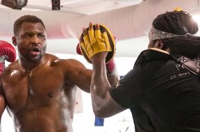 francis-ngannou-boxe-anthony-joshua