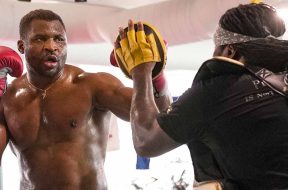 francis-ngannou-signature-pfl-mma