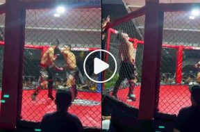 mma-ko-retardement-video