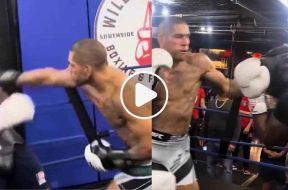 alex-pereira-boxe-ufc-mma-video