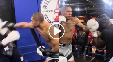 alex-pereira-boxe-ufc-mma-video