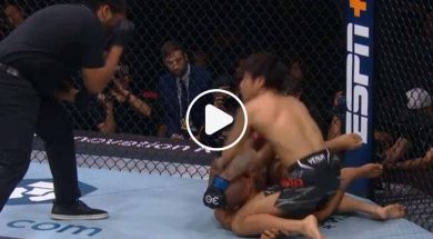 arbitre-règle-mma-ufc