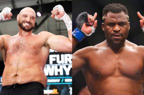 tyson-fury-francis-ngannou-boxe-mma-règle