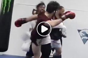 MMA-KO-Sparring-High-Kick-Vidéo