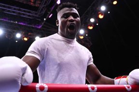 Francis-ngannou-boxe-champion