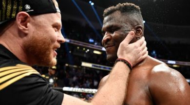 Francis-ngannou-eric-niskick-ufc-boxe