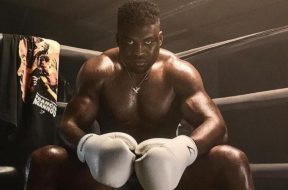 francis-ngannou-boxe-mma