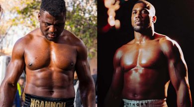 Francis-Ngannou-Anthony-Joshua-Boxe-menton-KO