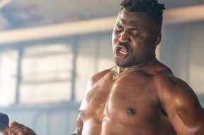 francis-ngannou-mma-ufc-boxe