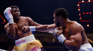 francis-ngannou-boxe-fedor