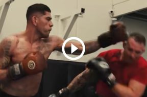 Alex-Pereira-détruit-un-boxeur-poids-lourd-lors-d-un-sparring-très-chaud