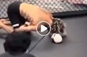 Sean-O’Malley-blessure-UFC-MMA-Vidéo