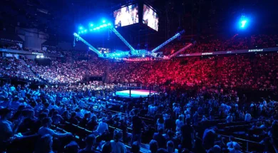 ufc-paris-avec-l-octogone-aux-couleurs-de-la-france