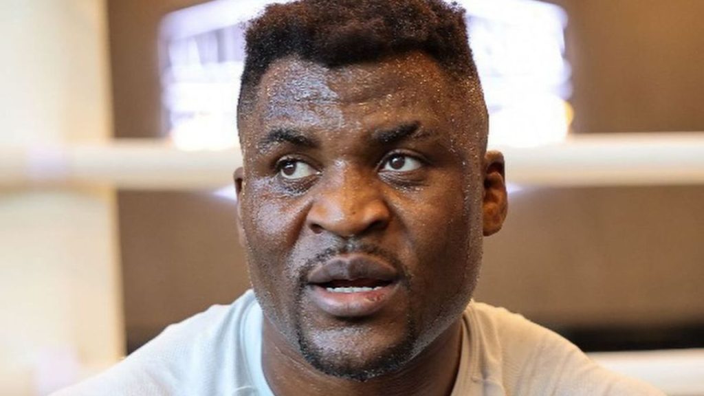 Bien qu'il ne participe pas à la saison 2024 du PFL, Francis Ngannou affrontera Renan Ferreira pour la ceinture des poids lourds. Peu connu du grand public, la catégorie reine du PFL compte parmi elle de terribles combattants. Voici le résumé de cette division.