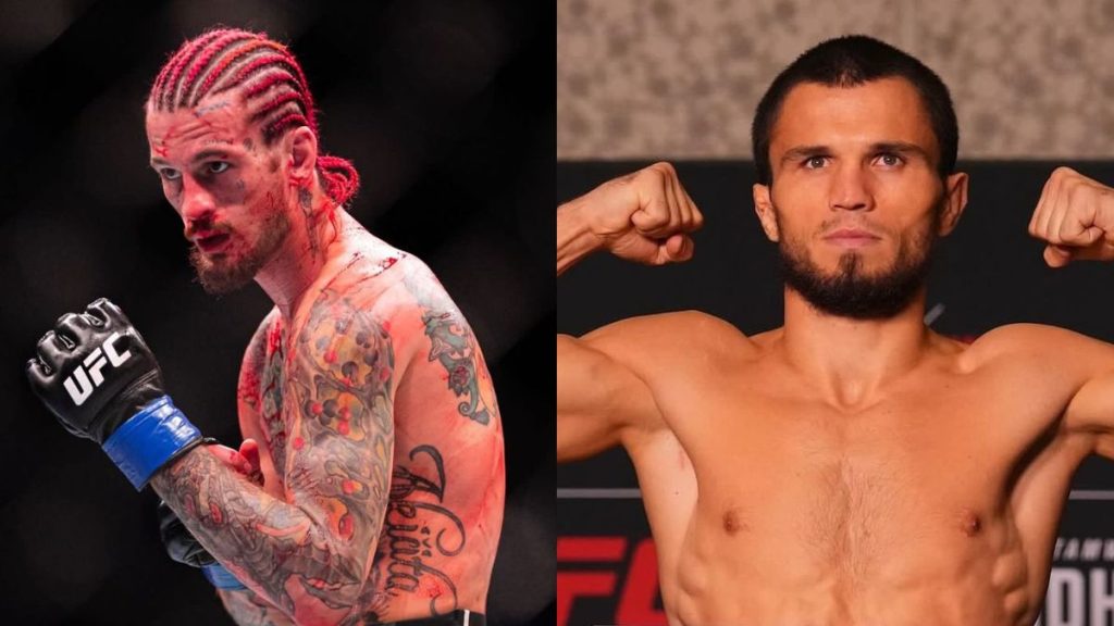 Umar Nurmagomedov combat ce week-end à l'UFC Abu Dhabi. En cas de victoire face à son adversaire Cory Sandhgen, il pourrait avoir un combat pour le titre des coqs. Le Russe a honte d'avoir Sean O'Malley comme champion de cette division.