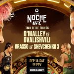 UFC 306-Noche