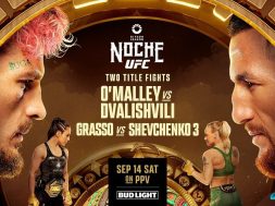 UFC 306-Noche