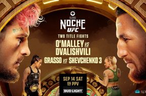 UFC 306-Noche