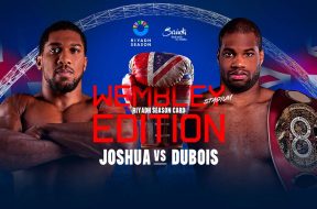 anthony-joshua-daniel-dubois-boxe