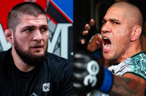 khabib-alex-pereira-ufc-mma