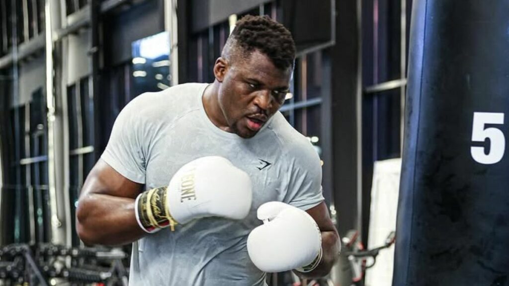 Il est souvent question d'une possible troisième apparition sur le ring l'année prochaine, et Francis Ngannou est présenté comme une menace potentielle pour les autres talents poids lourds.