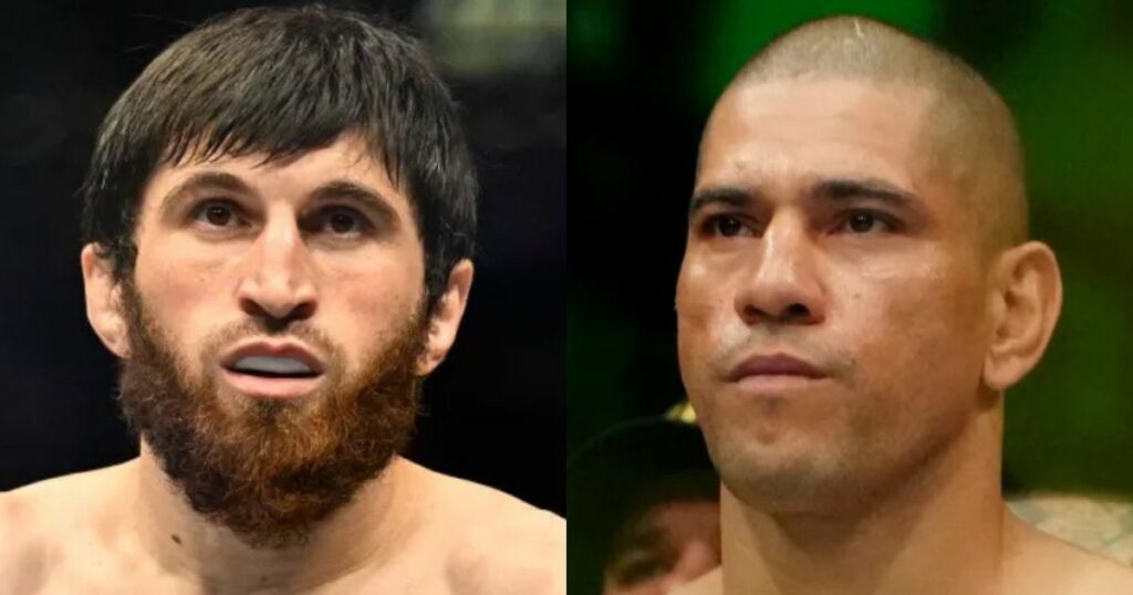 UFC 313 Pereira vs. Ankalaev : plusieurs stars de l'UFC veulent sauver l'événement