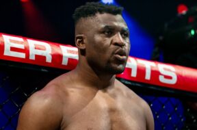 francis-ngannou-mma-boxe