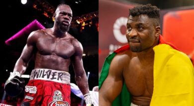 ngannou-wilder-boxe-mma