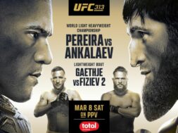 alex-pereira-magomed-ankalaev-ufc-313-mma