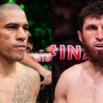 Alex Pereira vs. Magomed Ankalaev : Robert Whittaker dévoile son pronostic