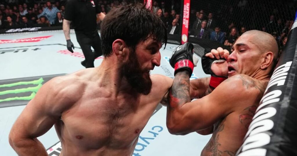 Alex Pereira cash sur Magomed Ankalaev après sa défaite : "Lui donner la victoire avec..."