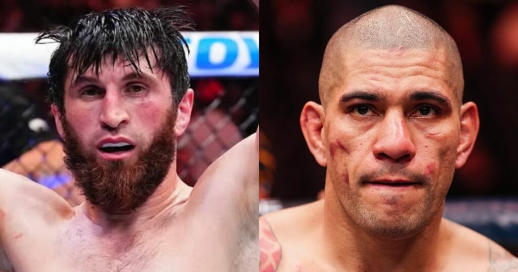 Magomed Ankalaev critique la performance d'Alex Pereira à l'UFC 313 : "Je pensais qu'il allait..."