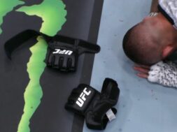 ufc-mma-retraite