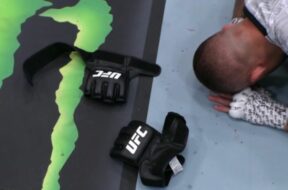 ufc-mma-retraite